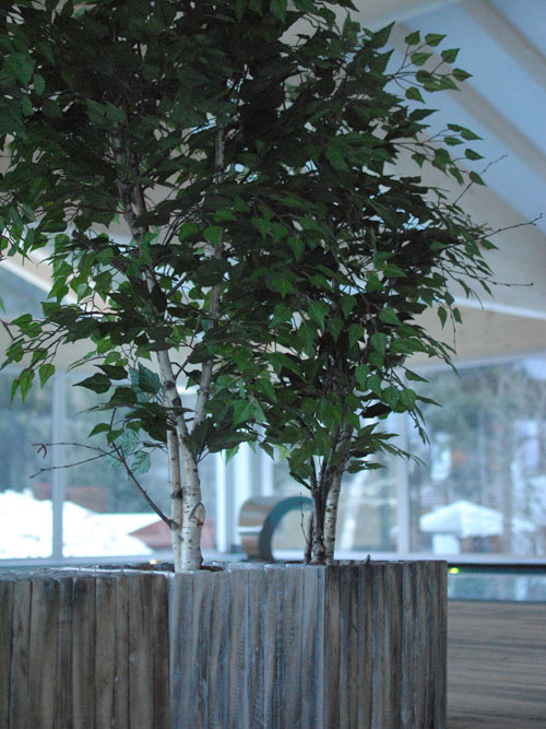 Decorazioni Wellness