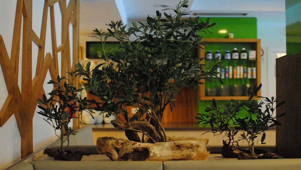 Alelstimenti Floreali Per Hotel