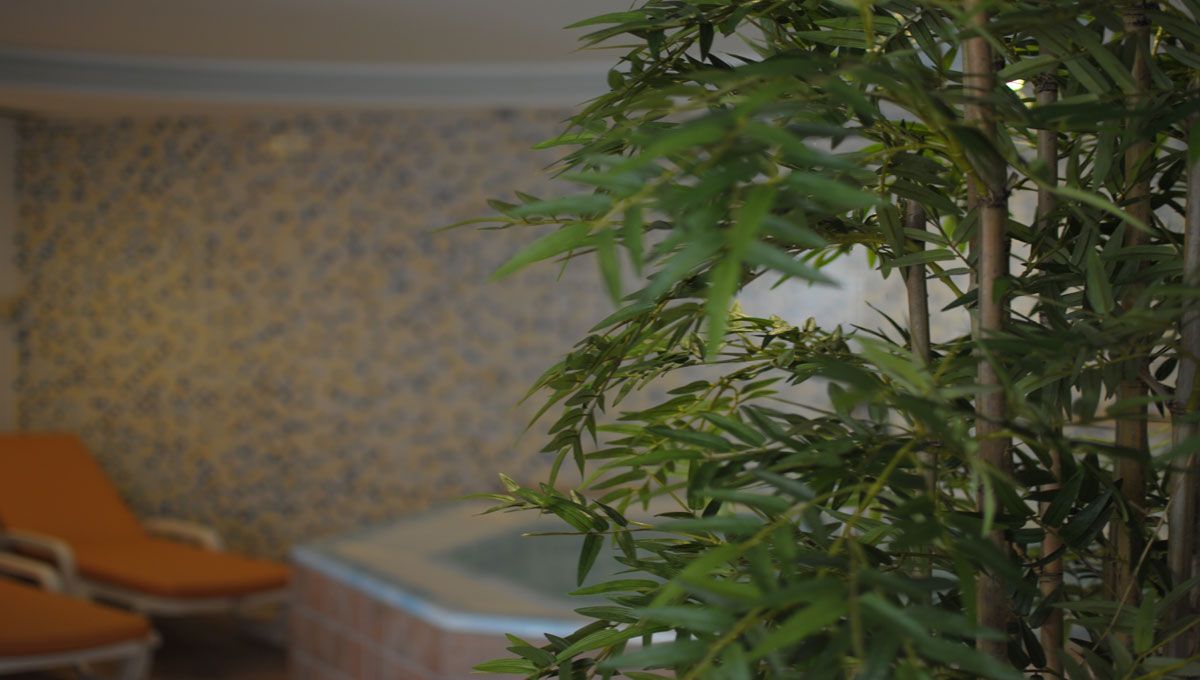 Decorazioni Wellness