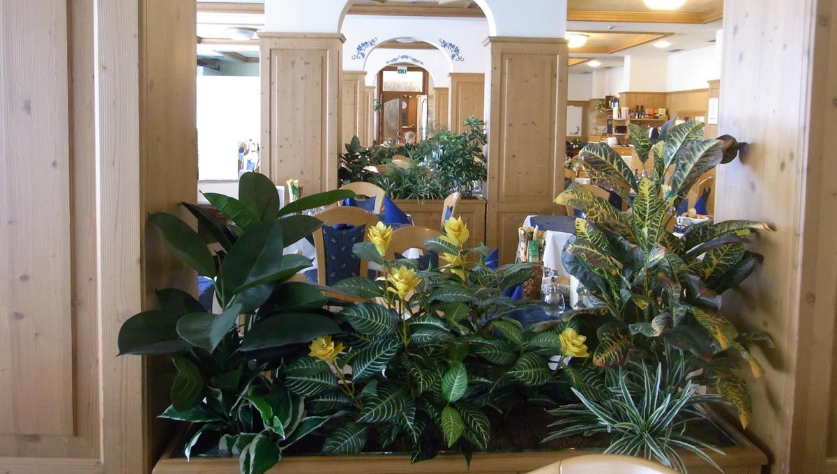Piante Artificiali Per Arredo 5